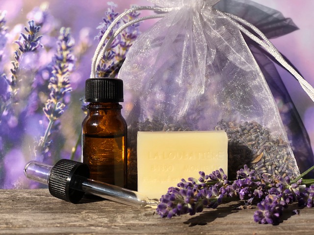 EAEA2686-018E-46FE-BB11-17C37C42FDDF